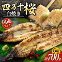 【ふるさと納税】【通常用】極上国産うなぎ四万十桜 白焼き約140g×5尾 | うなぎ 鰻 白焼き 国産 四万十鰻 ウナギ 蒲焼き 調理済み タレ付き ギフト(お歳暮/お正月)高級 お取り寄せ グルメ ウナギ 食べ比べ 冷凍