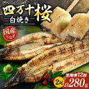 【ふるさと納税】 【通常用】【12回定期便】極上国産うなぎ四万十桜 白焼き約140g × 2尾 | うなぎ 鰻 ウナギ 白焼き 定期便 国産 四万十鰻 ウナギ 蒲焼き 調理済み タレ付き 頒布会 ギフト(お歳暮/お正月)高級 お取り寄せ グルメ 食べ比べ 冷凍