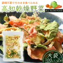 【ふるさと納税】【砂糖・保存料不使用】高知乾燥野菜ミックス 100g×2袋(計200g) | 野菜 やさい 食品 人気 おすすめ 送料無料