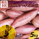【ふるさと納税】 訳あり 9月下旬より順次発送 サツマイモ 詰め合わせ 5キロ ミエルスイート +1種類以上 安納黄金 紅はるか 土佐紅 焼き芋 焼いも 焼芋 やきいも 野菜 やさい 食品 人気 おすすめ わけあり 高知県 南国市