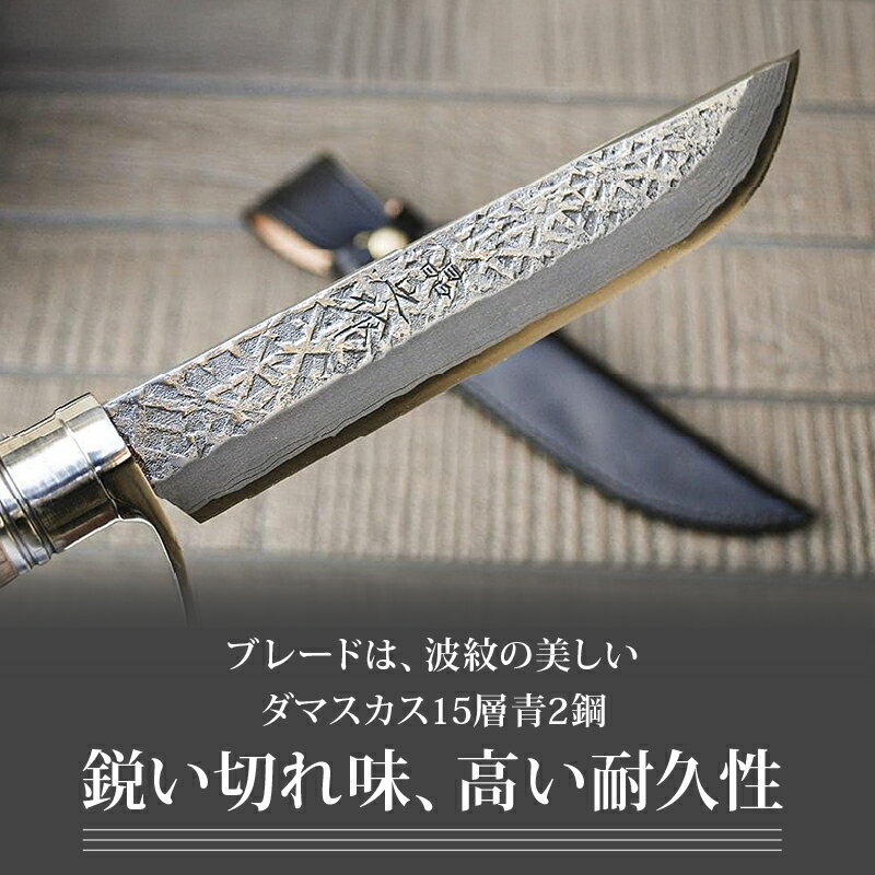 高知県南国市の画像2