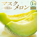 【ふるさと納税】 高知県南国市産/贈答用マスクメロン(1個) | メロン マスクメロン フルーツ 果物 くだもの 食品 デザート 高評価 厳選 高級 ギフト 贈...
