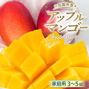 【ふるさと納税】 【先行予約】高知県南国市産/ご家庭用アップルマンゴー(2025年6月〜発送) | マンゴー アップルマンゴー フルーツ 果物 くだもの 食品 ...