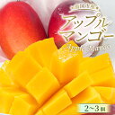 【ふるさと納税】 【先行予約】高知県南国市産/完熟アップルマンゴー(2個〜3個)(2026年6月〜発送) | マンゴー アップルマンゴー フルーツ 旬 果物 く...