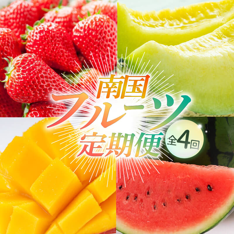 【ふるさと納税】【10～1月受付／年4回お届け】季節のフルーツセット（2024年度受付） | フルーツ 定期便 いちご スイカ マンゴー メロン フルーツ 苺 旬 果物 くだもの 贈答 ギフト 人気 おすすめ 高知県 南国市のサムネイル