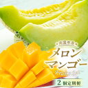【ふるさと納税】 メロン マンゴー 指定月発送 2回 定期便 マスクメロン フルーツ くだもの 果物 厳選マンゴー 産地直送メロン 人気 おすすめ 先行予約 高知県 南国市