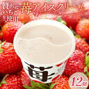 【ふるさと納税】 苺アイスクリーム110ml×12個 | アイスクリーム 人気 大容量 有名 アイスセット 詰め合わせ スイーツ ジェラート 久保田食品 高知県...