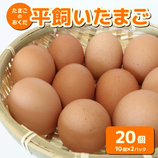 【ふるさと納税】 平飼い卵 20個入り | たまごのおくだ 新鮮 平飼い 卵 たまご 鶏卵 卵黄 たまごかけ ご飯 玉子 タマゴ 玉子焼き たまご焼き すき焼き 鶏 ケーキ 産地直送 国産 高知県 南国市 【ふるさと納税】 平飼い卵 20個入り | たまごのおくだ 新鮮 平飼い 卵 たまご 鶏卵 卵黄 たまごかけ ご飯 玉子 タマゴ 玉子焼き たまご焼き すき焼き 鶏 ケーキ 産地直送 国産 高知県 南国市