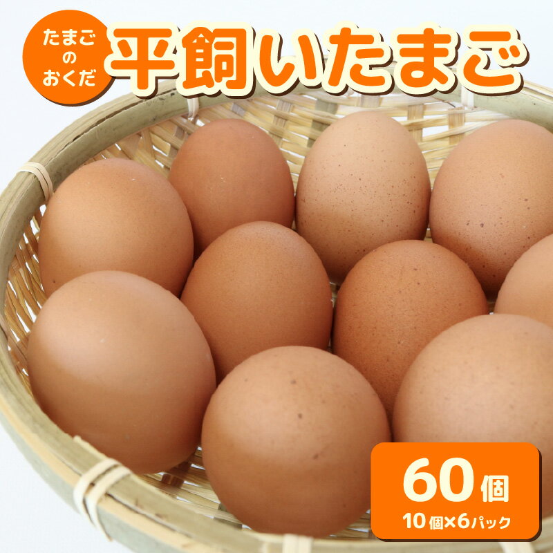 【ふるさと納税】 平飼い卵 60個入り | たまごのおくだ 新鮮 平飼い 卵 たまご 鶏卵 卵黄 たまごかけ ご飯 玉子 タマゴ 玉子焼き たまご焼き すき焼き 鶏 ケーキ 産地直送 国産 高知県 南国市