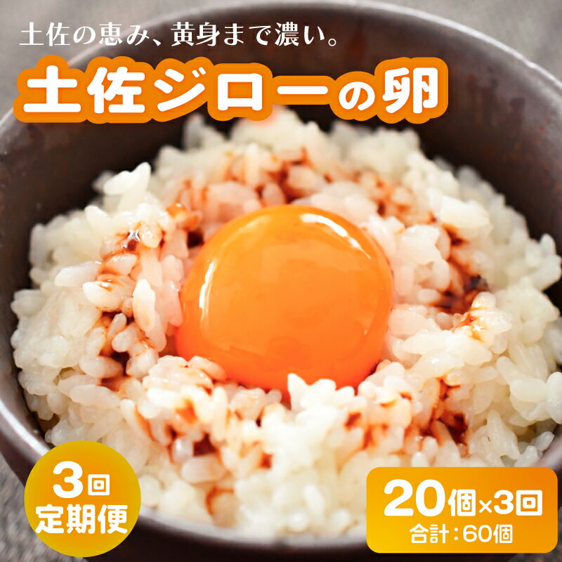 【ふるさと納税】 3回定期便土佐ジローの卵 20個入り 産地直送 国産 たまごのおくだ 卵 タマゴ 鶏卵 た..