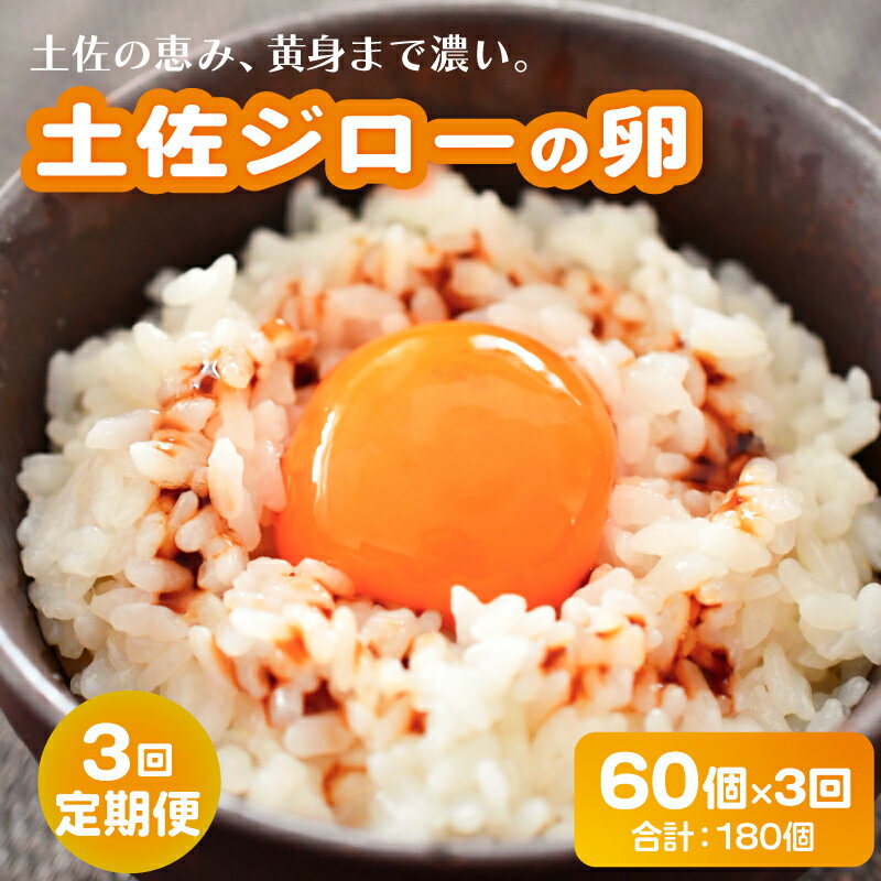 【ふるさと納税】 3回定期便土佐ジローの卵 60個入り 産地直送 国産 たまごのおくだ 卵 タマゴ 鶏卵 た..