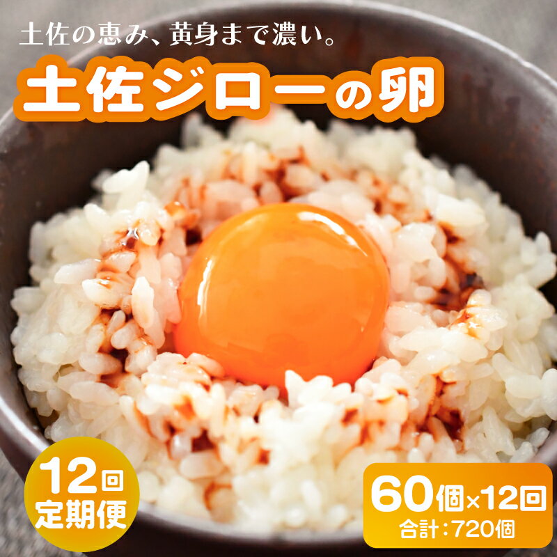 【ふるさと納税】 12回定期便土佐ジローの卵 60個入り 産地直送 国産 たまごのおくだ 卵 タマゴ 鶏卵 たまごかけごはん TKG オムレツ 卵かけご飯 たまご焼き おいしい おすすめ 高知県 南国市