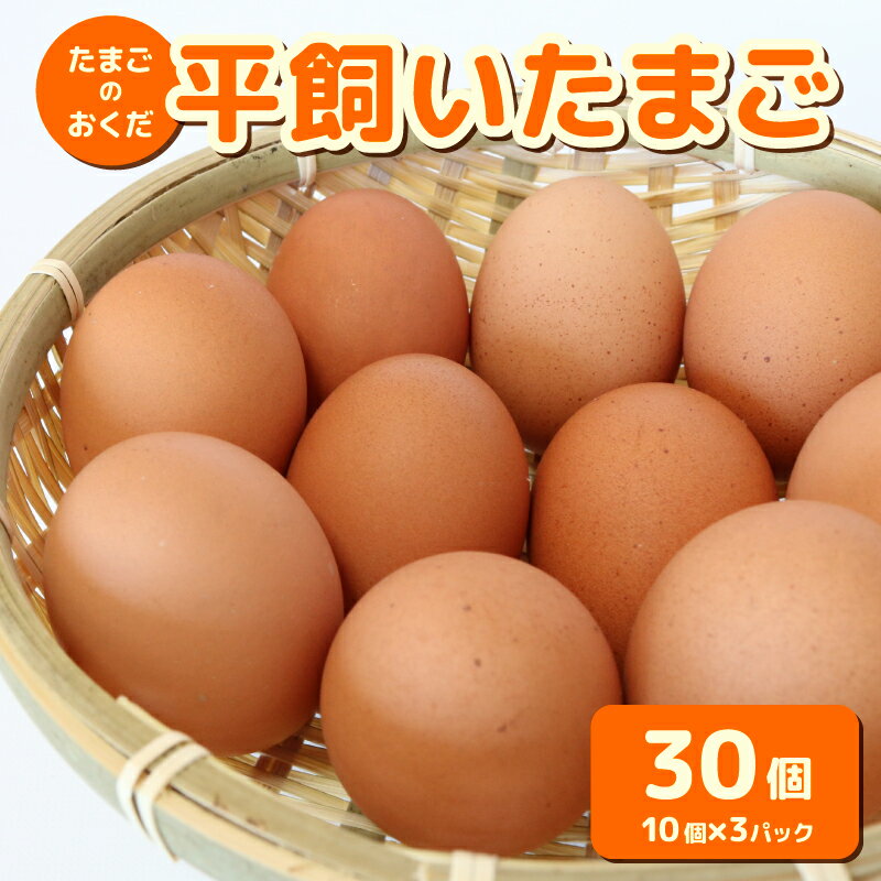 【ふるさと納税】 【定期便12回】平飼い卵 30個入り | たまごのおくだ 新鮮 平飼い 卵 たまご 鶏卵 卵黄 たまごかけ ご飯 玉子 タマゴ 玉子焼き たまご焼き すき焼き 鶏 ケーキ 国産 高知県 南国市