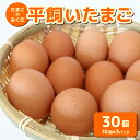 【ふるさと納税】 平飼い卵 30個入り たまごのおくだ 新鮮 平飼い 卵 たまご 鶏卵 卵黄 たまごかけ ご飯 玉子 タマゴ 玉子焼き たまご焼き すき焼き 鶏 ケーキ 産地直送 国産 高知県 南国市