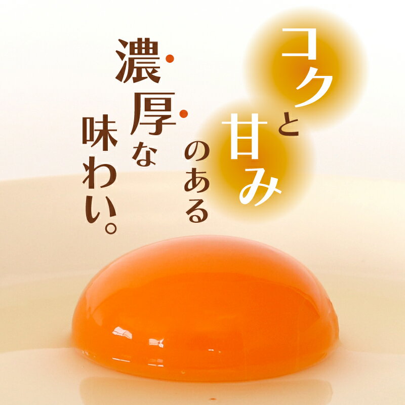 【ふるさと納税】 土佐ジローの卵 40個入り | たまごのおくだ 新鮮 平飼い 卵 たまご 鶏卵 卵黄 たまごかけ ご飯 玉子 タマゴ 玉子焼き たまご焼き すき焼き 鶏 ケーキ 産地直送 国産 高知県 南国市
