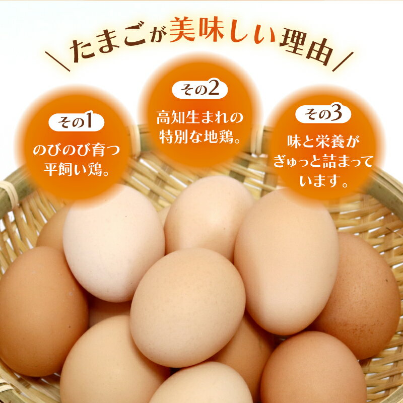 【ふるさと納税】 土佐ジローの卵 40個入り | たまごのおくだ 新鮮 平飼い 卵 たまご 鶏卵 卵黄 たまごかけ ご飯 玉子 タマゴ 玉子焼き たまご焼き すき焼き 鶏 ケーキ 産地直送 国産 高知県 南国市