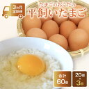 【ふるさと納税】 定期便3回 平飼い卵 20個入り たまごのおくだ 新鮮 平飼い 卵 たまご 鶏卵 卵黄 たまごかけ ご飯 玉子 タマゴ 玉子焼き たまご焼き すき焼き 鶏 ケーキ 国産 高知県 南国市