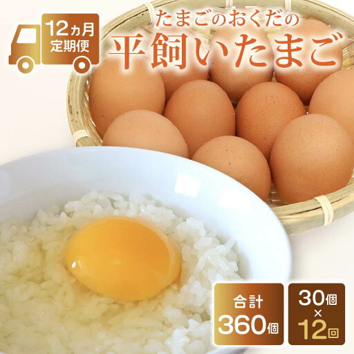 【ふるさと納税】 【定期便12回】平飼い卵 30個入り | たまごのおくだ 新鮮 平飼い 卵 たまご 鶏卵 卵黄 たまごかけ ご飯 玉子 タマゴ 玉子焼き たまご焼き すき焼き 鶏 ケーキ 国産 高知県 南国市 【ふるさと納税】 【定期便12回】平飼い卵 30個入り | たまごのおくだ 新鮮 平飼い 卵 たまご 鶏卵 卵黄 たまごかけ ご飯 玉子 タマゴ 玉子焼き たまご焼き すき焼き 鶏 ケーキ 国産 高知県 南国市