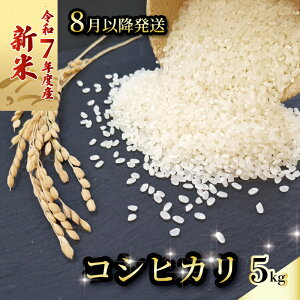 【ふるさと納税】 【新米】 【数量限定】 令和7年度 コシヒカリ 5キロ 8月から順次発送 超早場米 米 コメ お米 精米 早場米 新米 ご飯 おにぎり こめ 白米 高知県 南国市