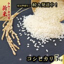 【ふるさと納税】 【新米】 【数量限定】 令和7年度 コシヒカリ 5キロ 8月から順次発送 超早場米 米 コメ お米 精米 早場米 新米 ご飯 おにぎり こめ 白米 高知県 南国市