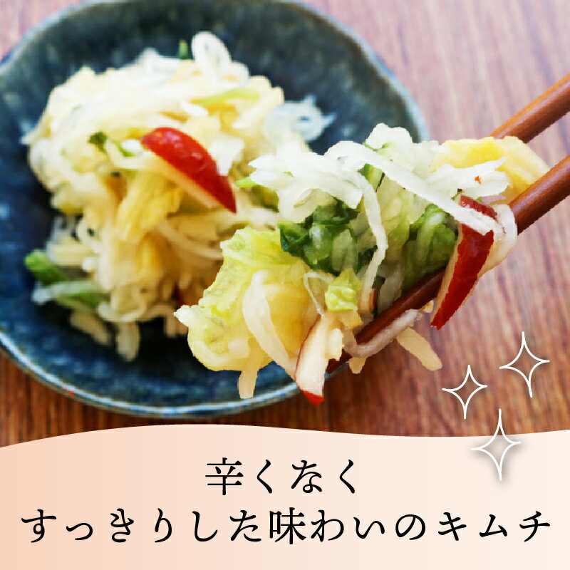 【ふるさと納税】 土佐キムチ しろ 250g×2パック 無添加 自然派 パリパリ キムチ 漬物 発酵 白菜 キムチ 手作り てづくり 韓国 高知県 南国市