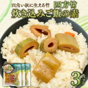 【ふるさと納税】 四方竹 炊き込みご飯の素 175g×3パック シャキシャキ 食感 珍味 季節 特産 珍しい 柔らか 筍 タケノコ 竹の子 炊き込みご飯 高知県...