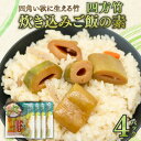 【ふるさと納税】 四方竹 炊き込みご飯の素 175g×4パック シャキシャキ 食感 珍味 季節 特産 珍しい 柔らか 筍 タケノコ 竹の子 炊き込みご飯 高知県...