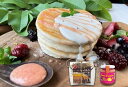 【ふるさと納税】 有機 グアバ 農園 もっち もち 玄米 パンケーキ もと 500g 1袋 完熟 フルーツ ソース 2個 セット げんまい 玄米 粉 米粉 素 パン ケーキ ぱん ミックス粉 フルーツ ソース ジャム グアバ グァバ れもん レモン グルテンフリー お菓子 おかし 高知県 南国市
