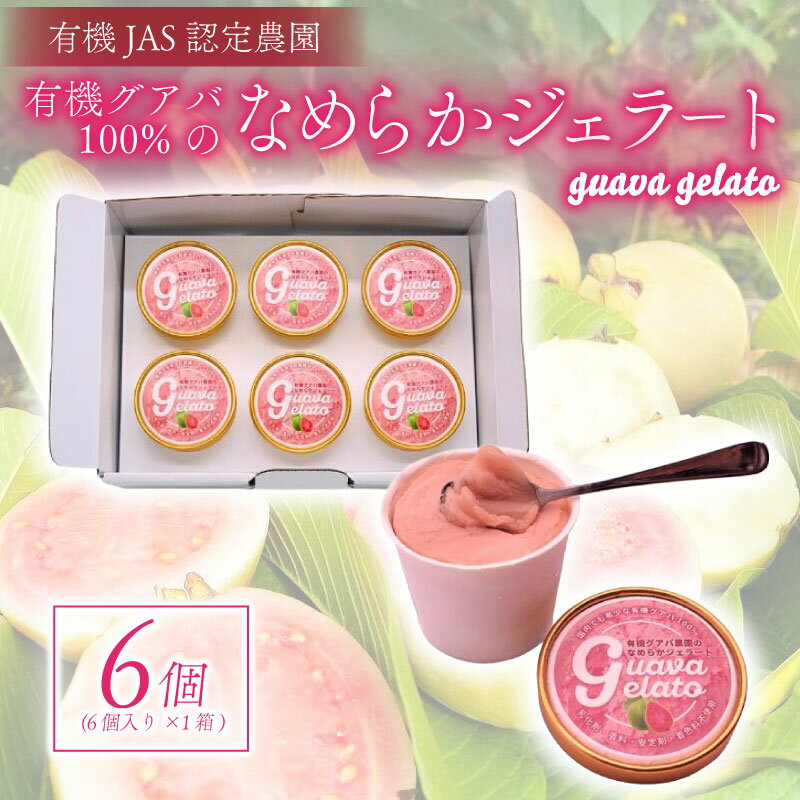 【ふるさと納税】 6個入り 有機グアバ農園のなめらかジェラート お菓子 菓子 おかし スイーツ デザート..