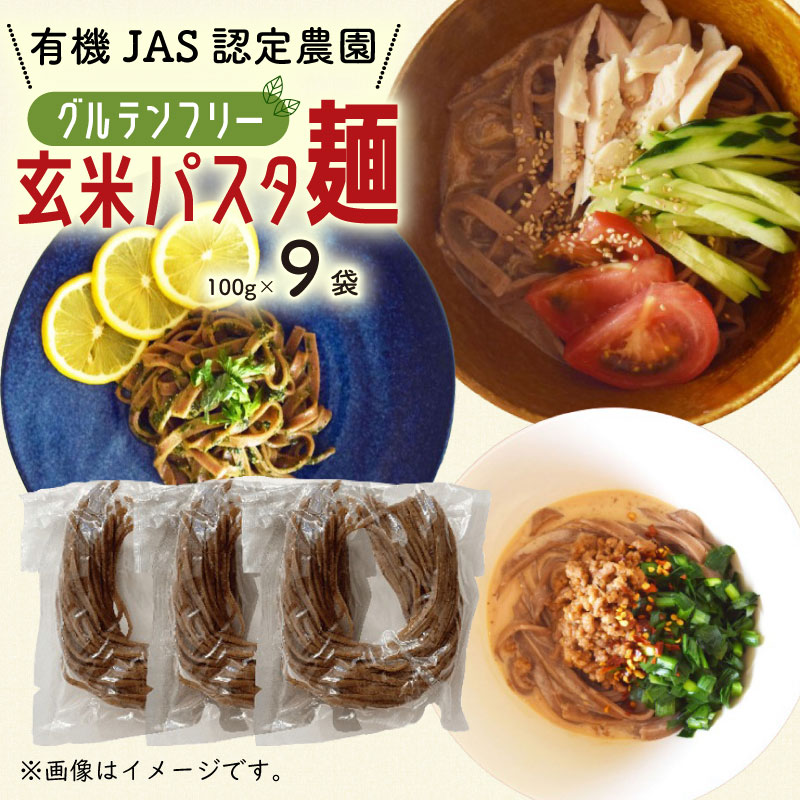 【ふるさと納税】 有機 グアバ 農園 グルテンフリー 玄米 パスタ 麺 100g 9袋 セット グル ...
