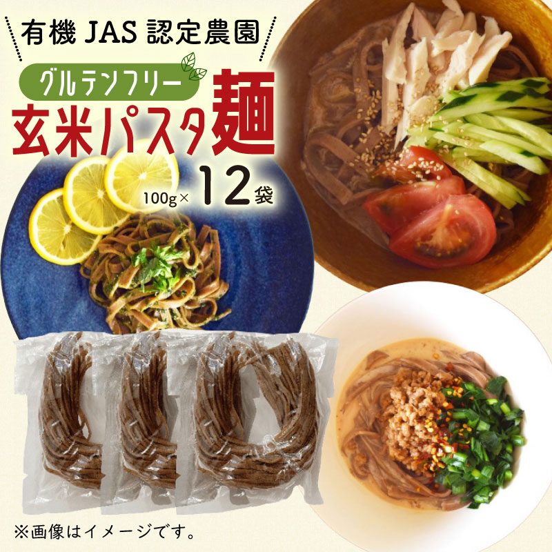 【ふるさと納税】 有機 グアバ 農園 グルテンフリー 玄米 パスタ 麺 100g 12袋 セット グ ...