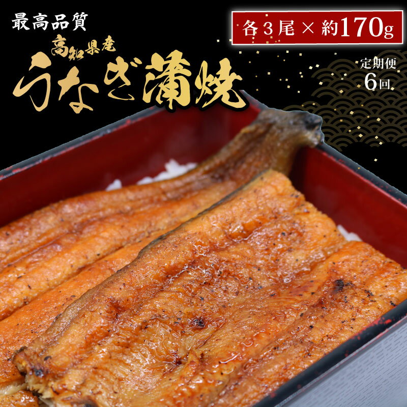 【ふるさと納税】 【6回定期便】 うなぎ蒲焼 約170g×3尾 高知県産 最高品質 合計約510g タレ 山椒 国産 鰻 おすすめ 高知県 南国市