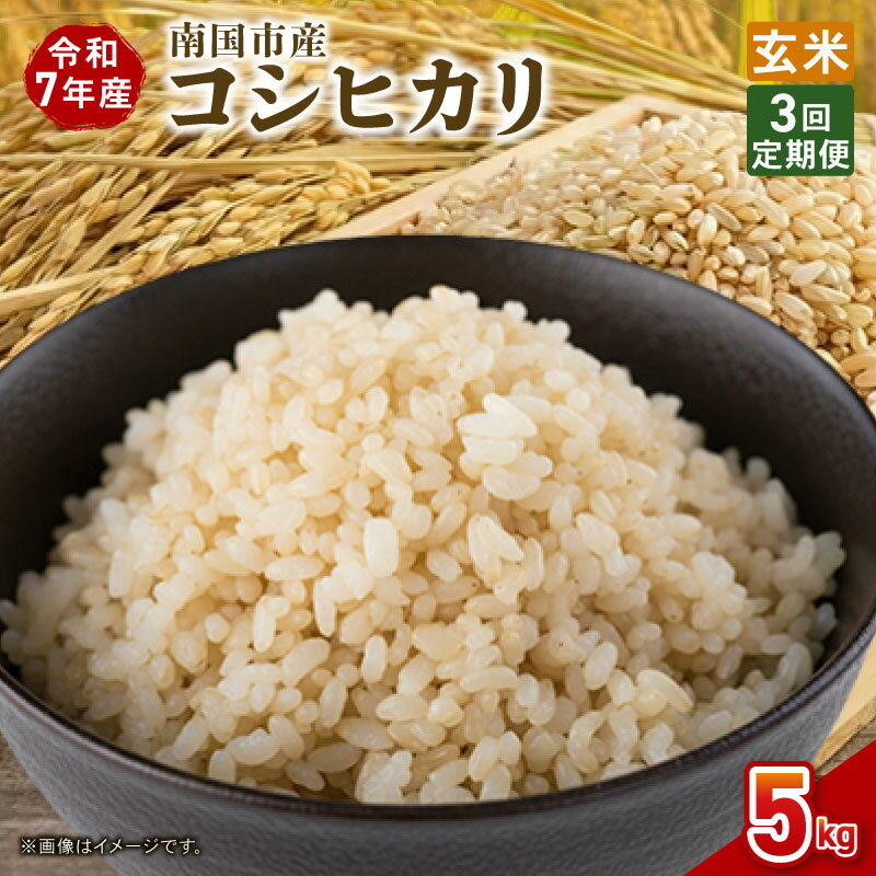【ふるさと納税】 定期便 3ヶ月 令和7年度 南国市産 コシヒカリ 玄米 5kg 新米 期間限定 数量限定 米 コメ お米 ご飯 おにぎり こめ 弁当 高知県 南国市