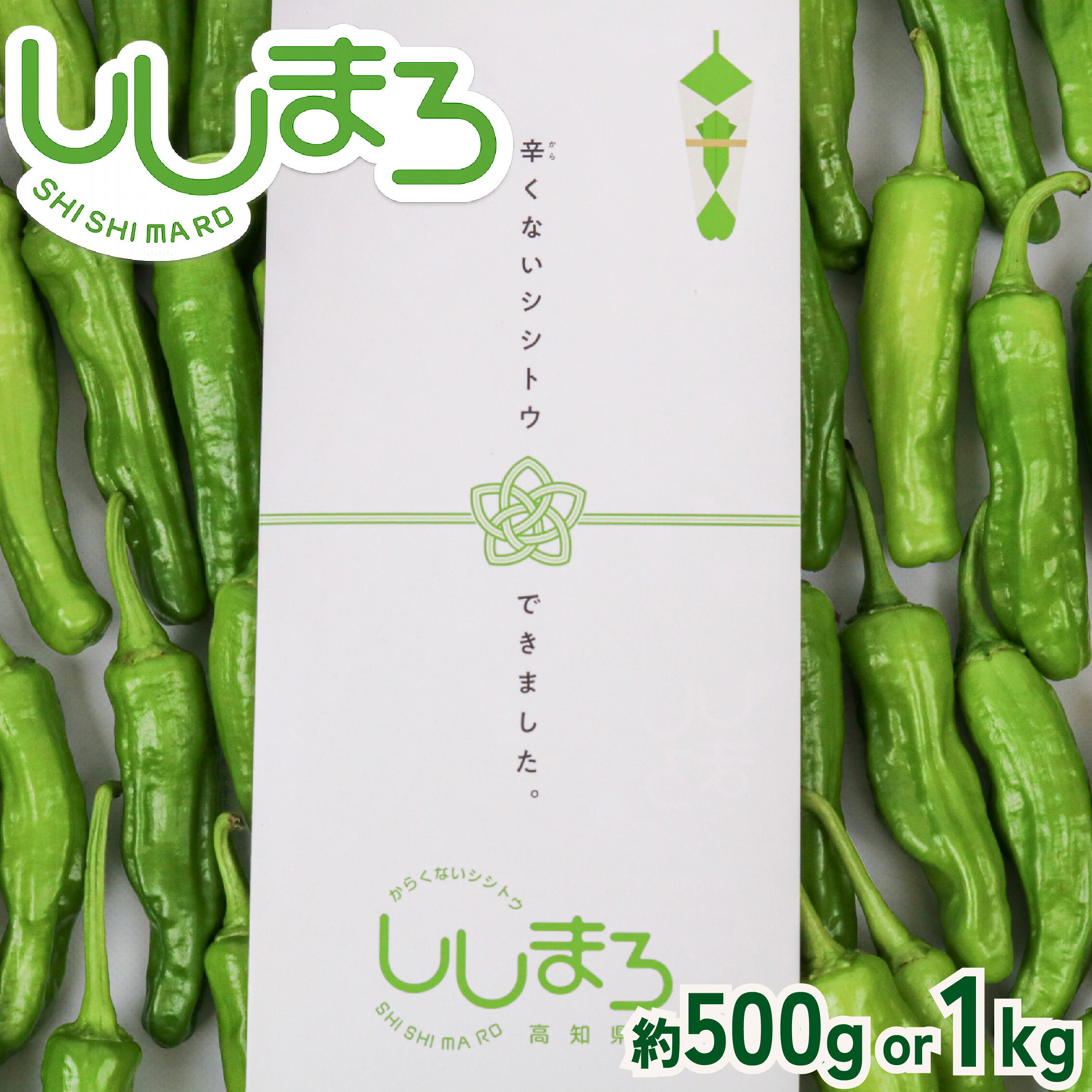 【ふるさと納税】 先行予約 ししとう 500g 辛くない シシトウ 新鮮 野菜 ししまろ 獅子唐 やさい 夏野菜 旬野菜 炒め物 野菜炒め 天ぷら バーベキュー BBQ 高知県 南国市 f392049-nankoku-10001444 高知県南国市 パッケージ画像