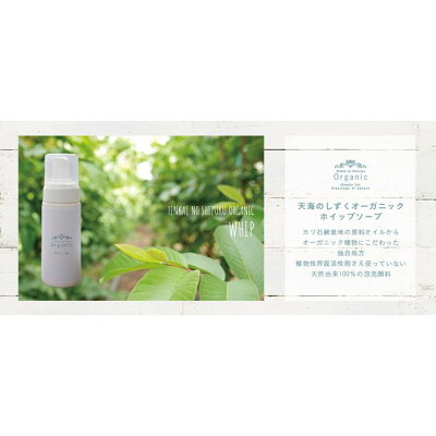 楽天ふるさと納税 【ふるさと納税】【天然成分100%】 天海のしずくオーガニック ホイップソープ | 泡 洗顔 ホイップ ソープ 送料無料 人気 おすすめ 高知県 南国市