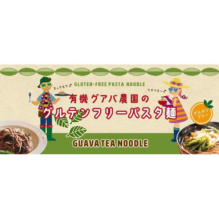 有機グアバ農園のグルテンフリーパスタ麺 100g×3袋セット | グルテン フリー ダイエット 健康 食品 送料無料 人気 おすすめ 高知県 南国市