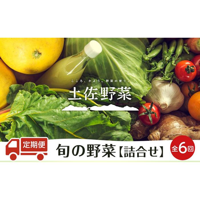 8位! 口コミ数「0件」評価「0」『定期便 全6回』【土佐野菜】旬の野菜の詰め合わせ | セット 新鮮 野菜 毎月 送料無料 人気 おすすめ 高知県 南国市