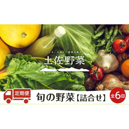 【ふるさと納税】『定期便 全6回』【土佐野菜】旬の野菜の詰め合わせ | セット 新鮮 野菜 毎月 送料無料 人気 おすすめ 高知県 南国市