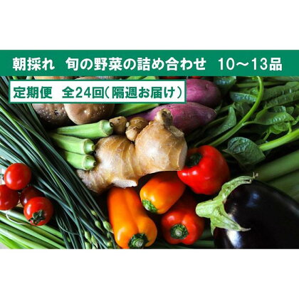 『定期便 全24回』【隔週お届け】朝採れ旬の野菜の詰め合わせ | セット 新鮮 野菜 毎月 送料無料 人気 おすすめ 高知県 南国市