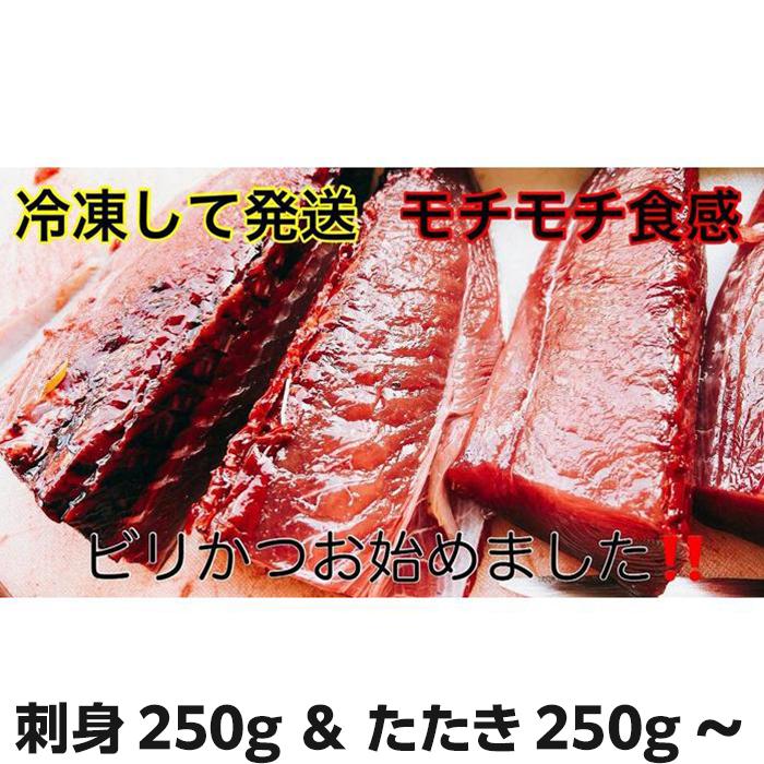【ふるさと納税】冷凍もちもち食感ビリかつお　刺身＆藁焼きたたき | 鰹 たたき かつおのたたたき わら焼き 魚 魚介 食品 セット 送料無料 人気 おすすめ 高知県 南国市のサムネイル