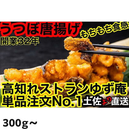 ウツボから揚げ300g（5人前） | からあげ 魚 魚介 食品 白身魚 送料無料 人気 おすすめ 高知県 南国市