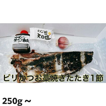 もちもち食感ビリかつお藁焼きたたき | 鰹 たたき かつおのたたたき わら焼き 魚 魚介 食品 送料無料 人気 おすすめ 高知県 南国市