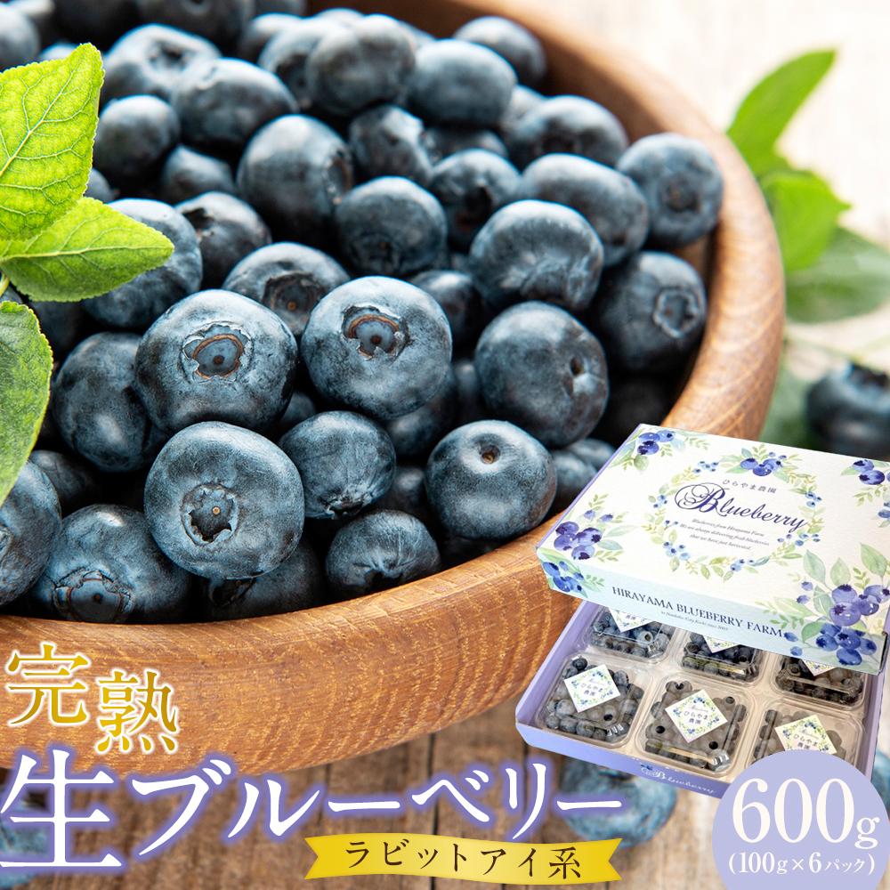 【ふるさと納税】 農家直送 完熟生ブルーベリー ラビットアイ系 600g 100g×6パック 2026年発送 土佐ひらやま農園 ブルーベリー フルーツ 果物 く...
