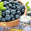 【ふるさと納税】【農家直送】完熟生ブルーベリー(ラビットアイ系)600g(100g×6パック)2025年発送 土佐ひらやま農園 | ブルーベリー フルーツ 果物...