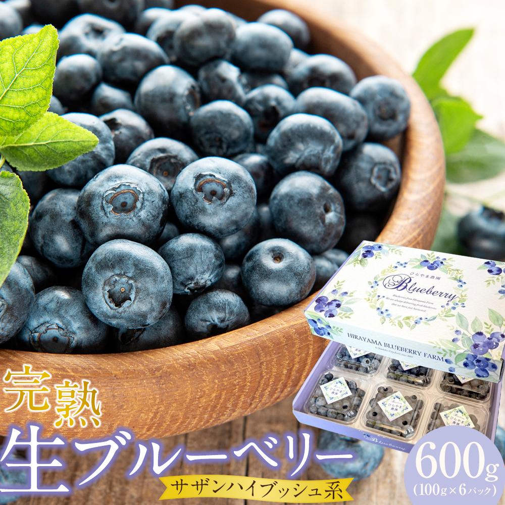【ふるさと納税】 農家直送 完熟生ブルーベリー サザンハイブッシュ系 600g 100g×6パック 2026年発送 早期予約 土佐ひらやま農園 ブルーベリー フ...
