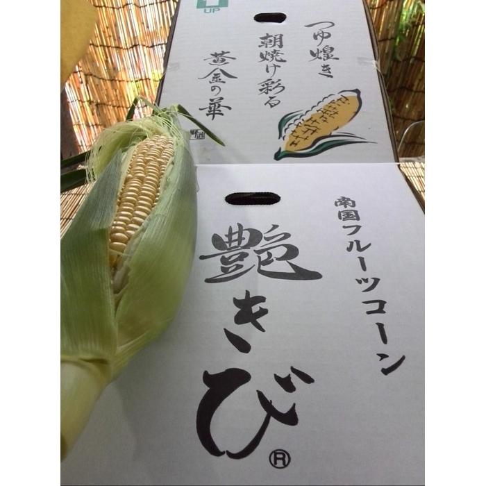 【ふるさと納税】南国フルーツコーン　艶きび　10本入り | 野菜 やさい 食品 人気 おすすめ 送料無料