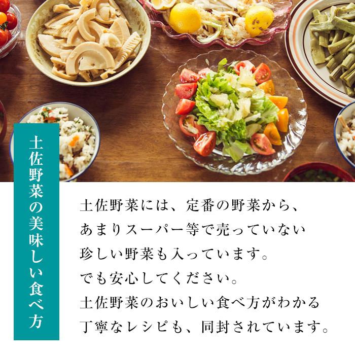 【ふるさと納税】『定期便 全4回』【土佐野菜】旬の野菜の詰め合わせ　小セット | セット 新鮮 野菜 毎月 送料無料 人気 おすすめ 高知県 南国市