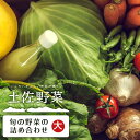 【ふるさと納税】 土佐野菜 旬の野菜の詰め合わせ 大 セット 新鮮 野菜 送料無料 人気 おすすめ 高知県 南国市