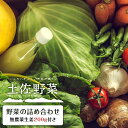 22位! 口コミ数「0件」評価「0」【土佐野菜】野菜の詰め合わせと無農薬生姜200g付き | セット 新鮮 野菜 送料無料 人気 おすすめ 高知県 南国市