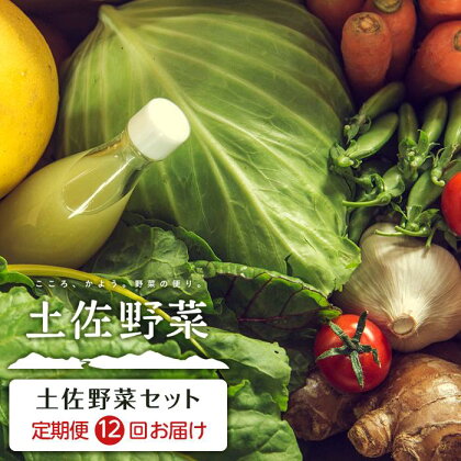 【全12回お届け】土佐野菜セット | セット 新鮮 野菜 毎月 送料無料 人気 おすすめ 高知県 南国市